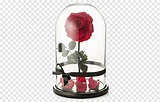 Bestia belle rose la flor de walt disney company, rose, arreglos ...