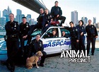 Animal Precinct Season 3 Air Dates & Countdown