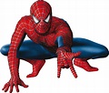 Spiderman Picture PNG Isolated Image | PNG Mart