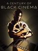 A Century of Black Cinema (Video 2003) - IMDb