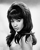 Ronnie Spector on the Ronettes’ Iconic Fashion Sense and Personal Style - Vogue