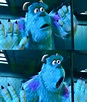 Sully Monsters Inc Meme – Transborder Media