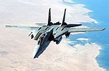 F-14雄貓式戰鬥機 - 维基百科，自由的百科全书