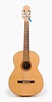 File:Guitar 1.jpg - Wikipedia