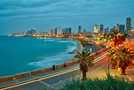 Découvrez les plages glorieuses de Tel Aviv. Guide de Tel Aviv