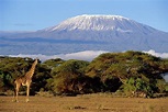 Parque Nacional del Kilimanjaro - Viaje al Patrimonio