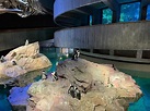 New England Aquarium - Aquarium / Zoo in Boston, MA | The Vendry