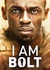 I Am Bolt [DVD] [2016] - Best Buy