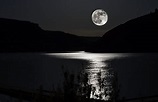 Wallpaper : landscape, night, reflection, sky, Moon, moonlight, horizon ...