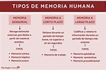 TIPOS de MEMORIA humana - Esquema, clasificación, características y ...
