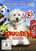 Pudsey - Ein tierisch cooler Held (DVD)