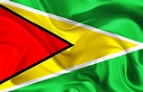 Cómo es la bandera de Guyana – Sooluciona