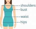 How To Describe A Womans Body Shape Using Measurements | Images and ...