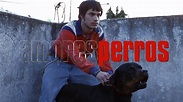 Escucha el soundtrack de Amores perros | Cine PREMIERE