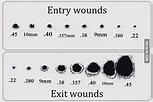 Entry And Exit Wound Chart