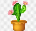 Cactaceae planta saguaro, cactus en flor, pintado, mano, flor png | PNGWing