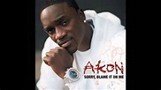 Akon - Sorry, Blame It On Me (lyrics in description) HD - YouTube