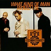 Promo, Import, Retail CD Singles & Albums: Mint Condition - What Kind ...