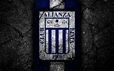 Club Alianza Lima Wallpapers - Top Free Club Alianza Lima Backgrounds ...