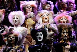 Cats Musical List Of Characters - Cat Meme Stock Pictures and Photos