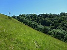 Photographs of Swift's Hill Nature Reserve, Gloucestershire, England ...