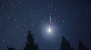 Falling Star Around Glittering Stars And Trees HD Space Wallpapers | HD ...