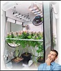 How to Set Up a Grow Tent for Cannabis Plants