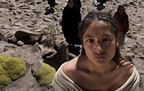 Altiplano | Film Review | Slant Magazine