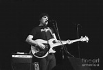 Rick Danko - The Band Photograph by Concert Photos - Fine Art America