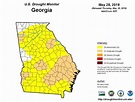 Dry Counties In Georgia Map - Daveen Francisca