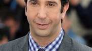 David Schwimmer List of Movies and TV Shows - TV Guide