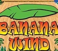 Banana Wind/The Music Of Jimmy Buffett