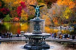 Bethesda Fountain, Central Park by Gina Brake | Nueva york, Viajes ...