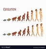 Biology Human Evolution Stages, Evolutionary Process of Man and Woman ...