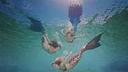 Sirenas Weeki Wachee State Park Florida - Sirenas Academy