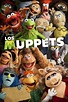 Los Muppets (2011) | Doblaje Wiki | Fandom