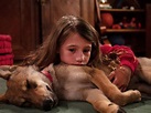 Vicky e il suo cucciolo, un film sull'amicizia con il lupo - The Wom