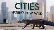 BBC Two - Cities: Nature's New Wild, Series 1, Residents