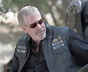 'Sons of Anarchy' makes Ron Perlman part of biker royalty - latimes