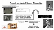 Introducción a la psicología - Edward Lee Thorndike - Ley del efecto ...
