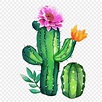 Cactus PNG, Vector, PSD, and Clipart With Transparent Background for ...