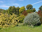 University of California Santa Cruz Arboretum