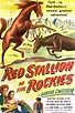 Red Stallion in the Rockies - Alchetron, the free social encyclopedia