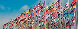 International relations and international organisations | University of ...