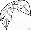 Palm Leaf coloring page | Free Printable Coloring Pages
