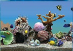 Best Buy: Avanquest Marine Aquarium Deluxe Screensaver Windows [Digital ...