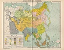 GRUPOS ÉTNICOS en ASIA mapa antiguo de 1893 | Etsy