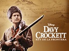 Ver Davy Crockett, rey de la frontera | Disney+