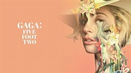 Gaga: Five Foot Two - Netflix Movie - Where To Watch