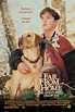 Far from Home: The Adventures of Yellow Dog (1995) - IMDb